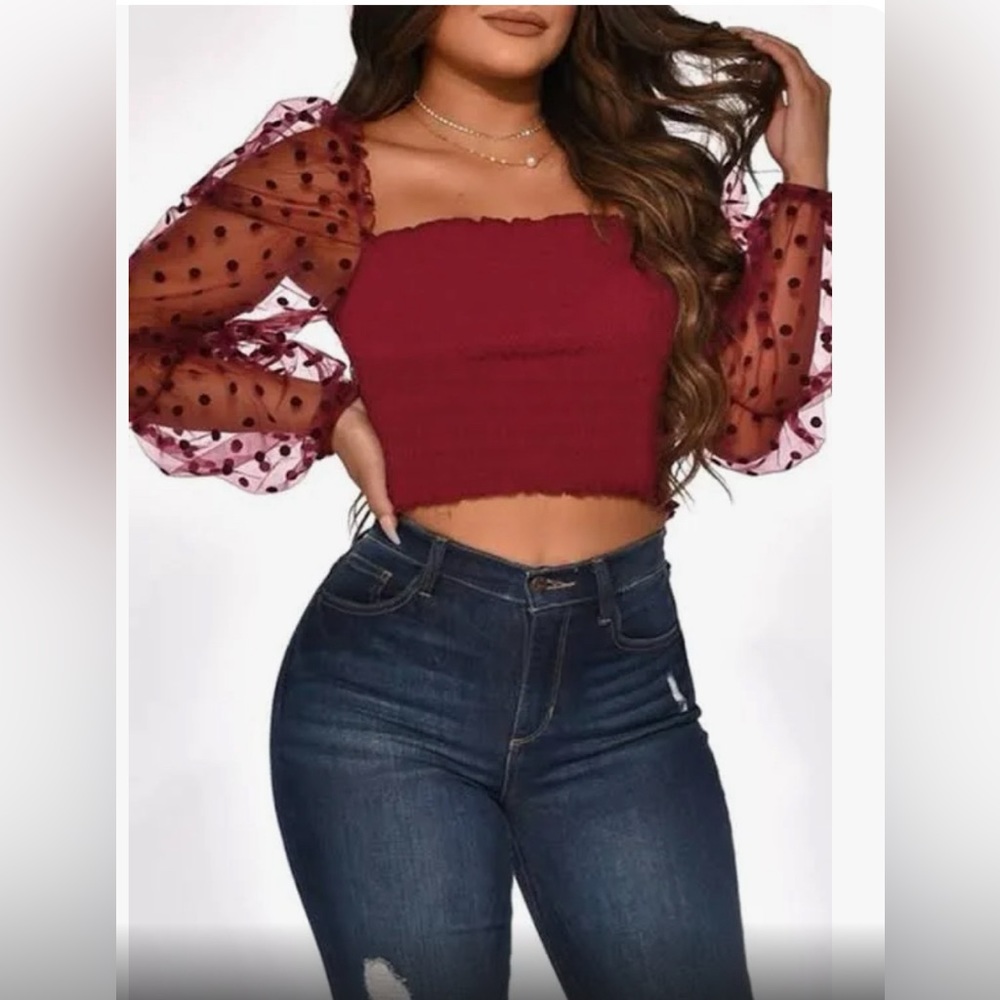Elastic Crop Top w/ Sheer Sleeves NWOT.